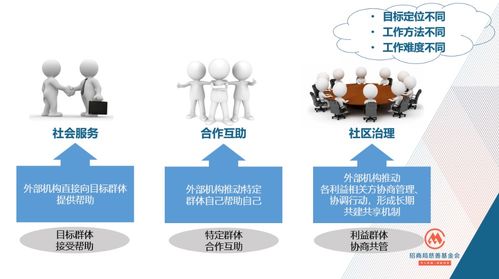 社區(qū)發(fā)展項目的設計原則與實踐經(jīng)驗