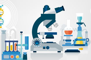 黑坑釣魚小藥自制全攻略 因地制宜調(diào)配，精準(zhǔn)應(yīng)對(duì)不同魚情